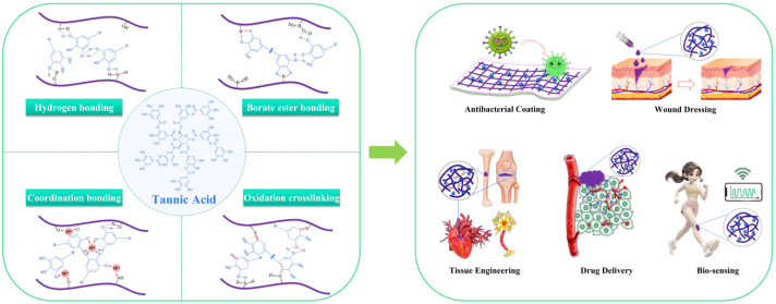 喜讯！365英国上市刘阳课题组本科生在知名期刊Chemical Engineering Journal发表重要综述论文